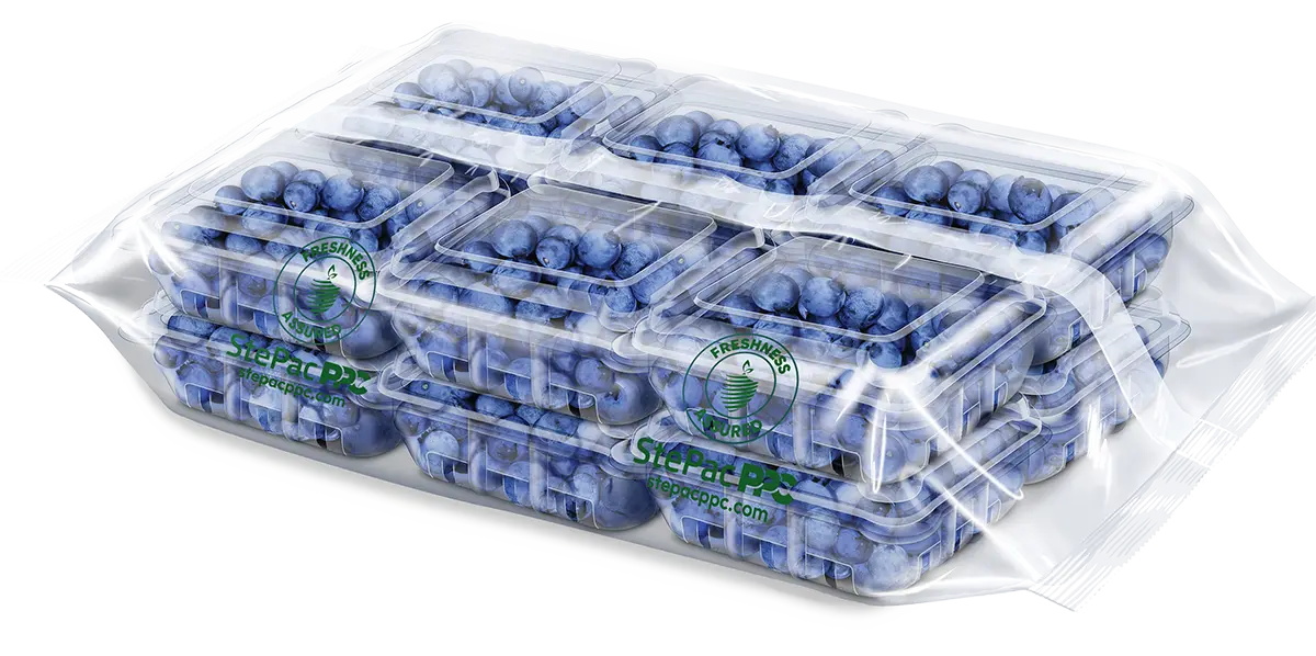 Xflow Blueberries packaging