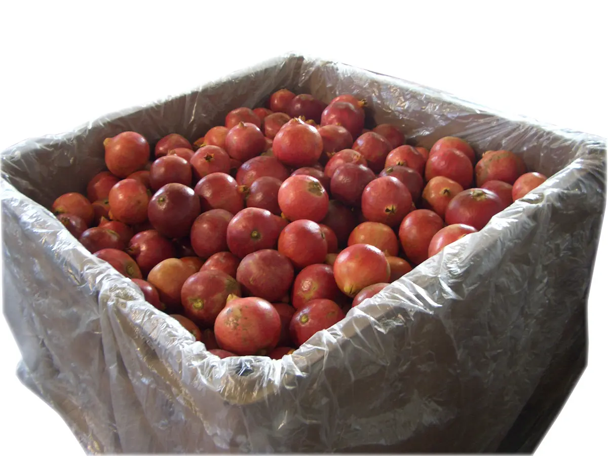 Xtend Bin Liner pomegranate packaging opened