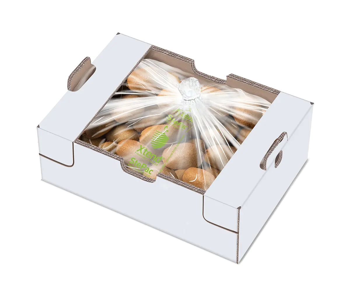 Xtend Kiwi closed 120919