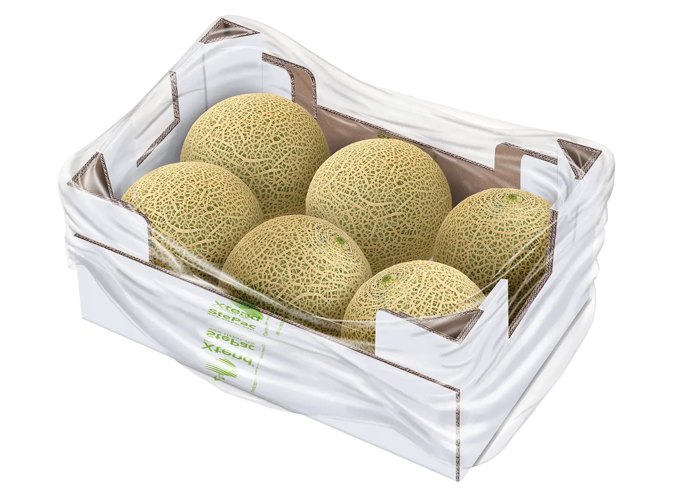 Xtend Melon opened 120919