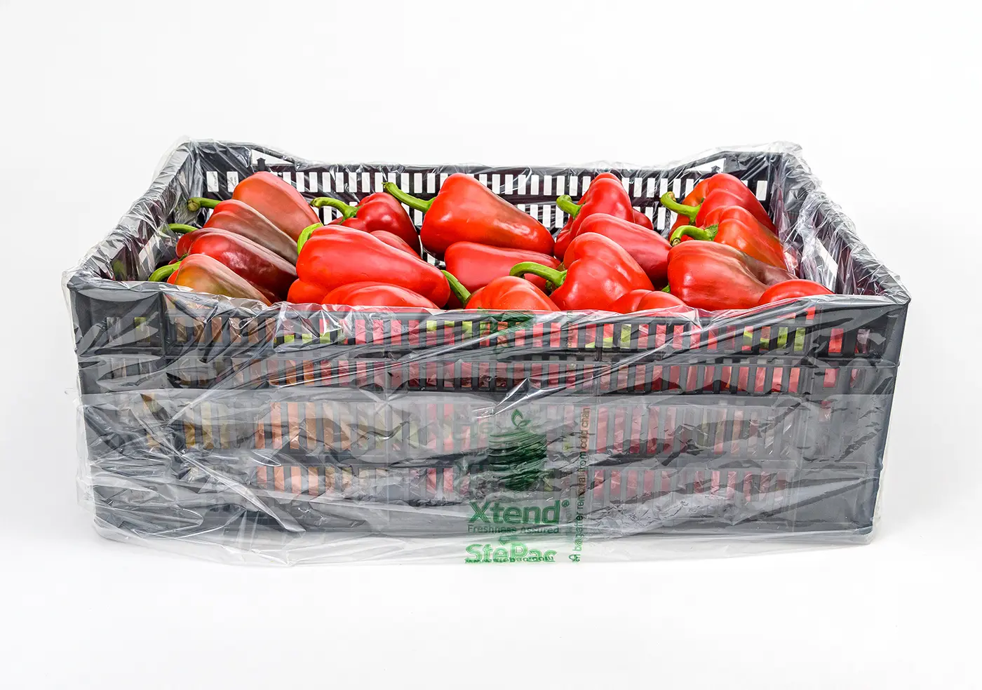 Xtend Pepper opened 2