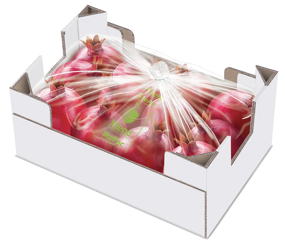 Xtend Pomegranate closed 120919