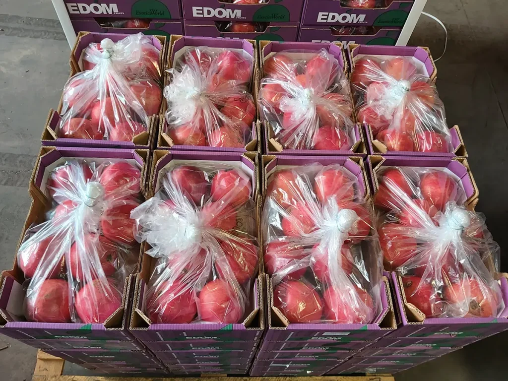 Xtend Pomegranates Edom closed