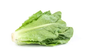 lettuce packaging bags