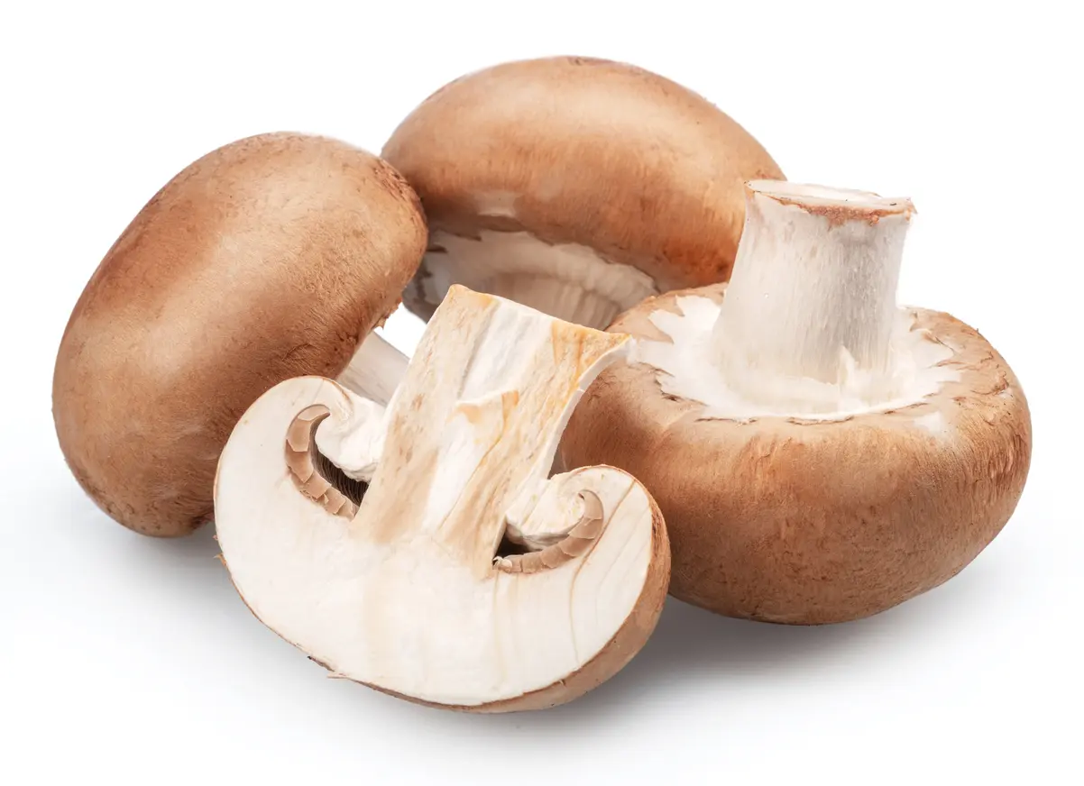 packaging for mushroom
