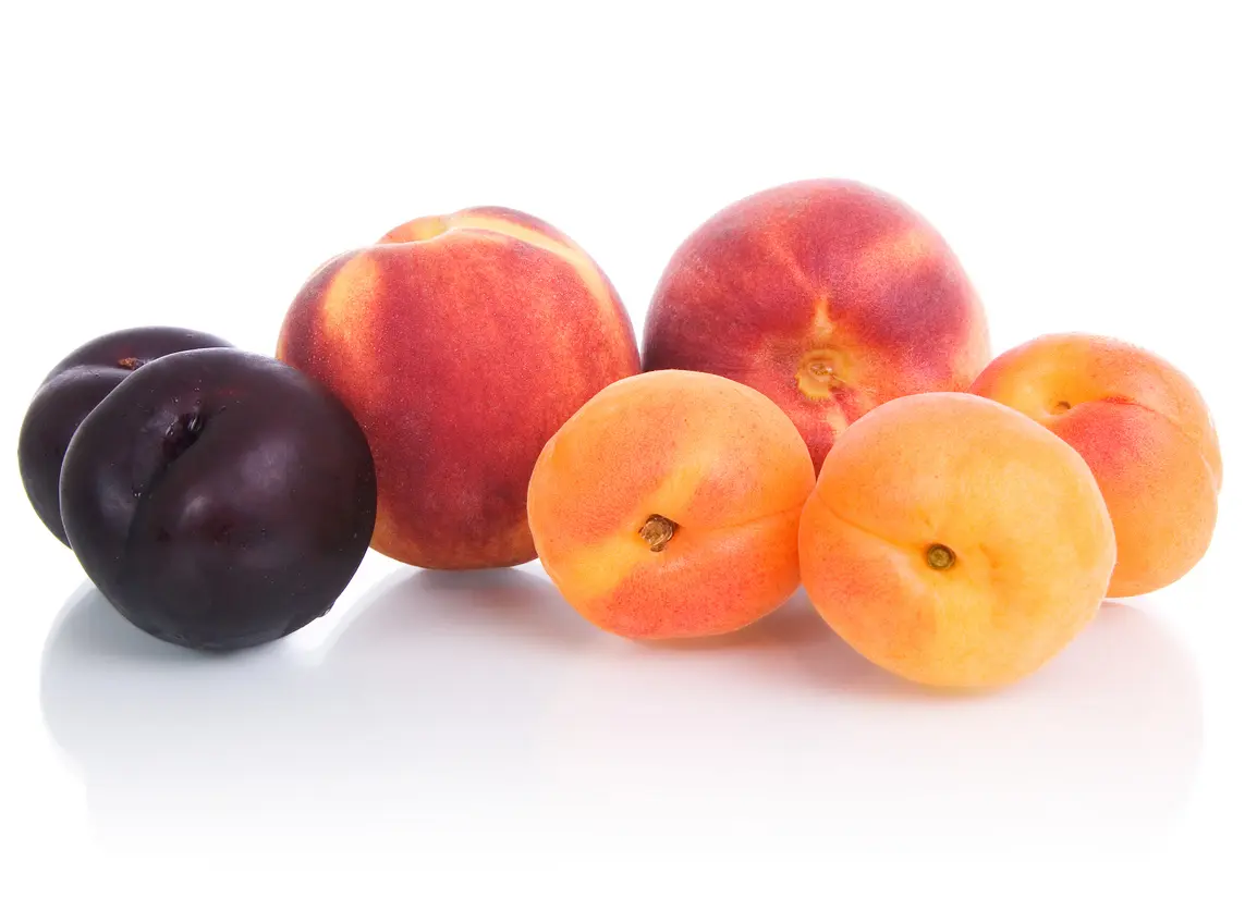 stone fruit packaging