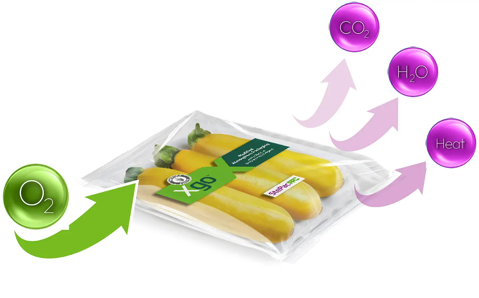 modified atmosphere packaging of fruits and vegetables