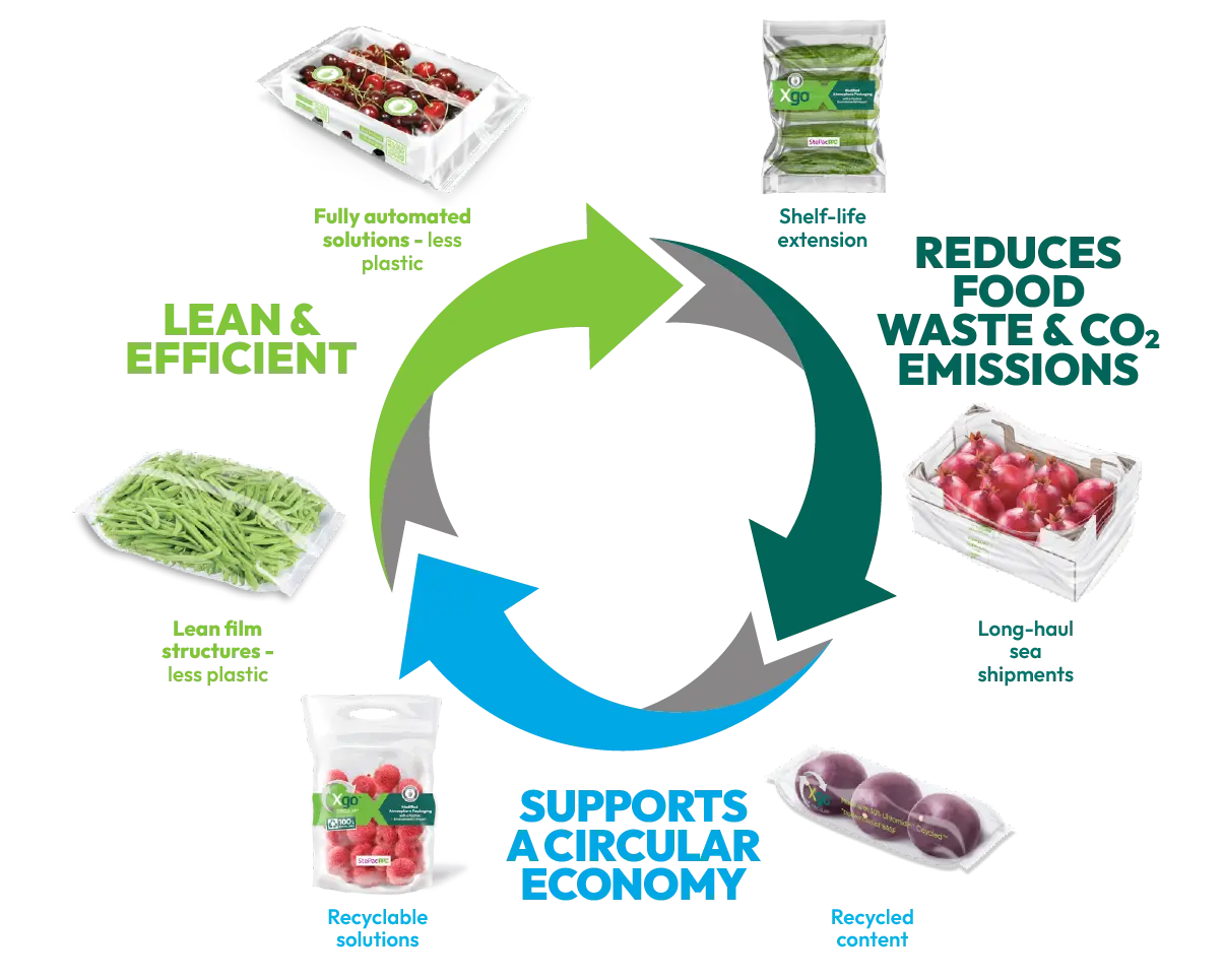 StePacPPC Packaging for a Sustainable Future graphic (1)